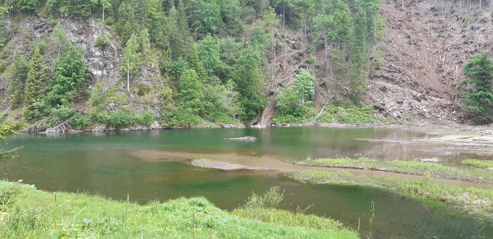 Văideeni-Lacul Balota-Refugiul Cășărie