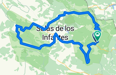 Route in der Bikemap App öffnen