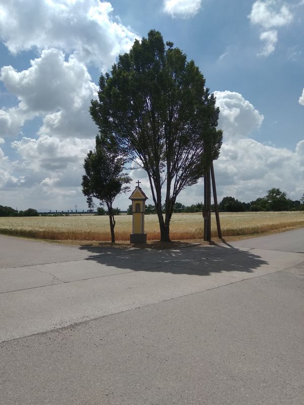 Rundfahrt Rabensburg-Zistersdorf-retour