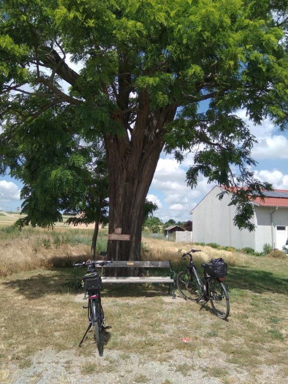 Rundfahrt Rabensburg-Zistersdorf-retour