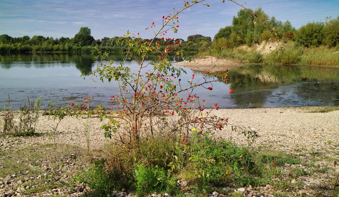 Foto 1 der Bikemap-Route "Sarstedter Seenplatte"