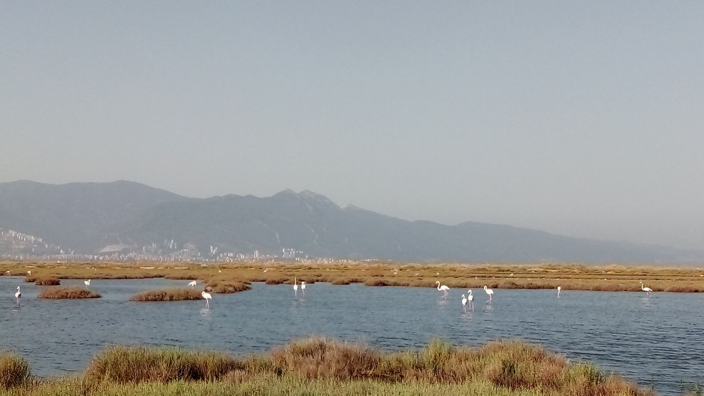 Tarık Dursun K. Sokak 3 to Caher Dudayev Bulvarı 7, Aosb