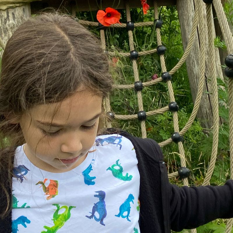 En de terugweg vanaf Meerbos