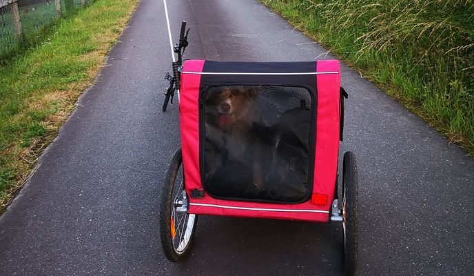 Zdjęcie 1 trasy Bikemap „Rodenbach, Runde mit Hundeanhänger”
