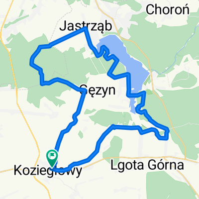 06. Koziegłowy