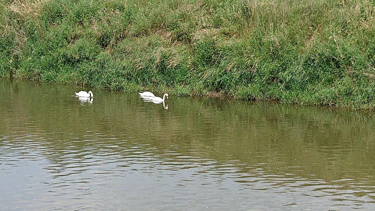 Große Hainstraße 2, Bad Sooden-Allendorf nach Weinreihe 5, Bad Sooden-Allendorf