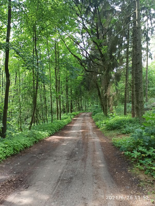 trasa sobotnia 26.06.20221