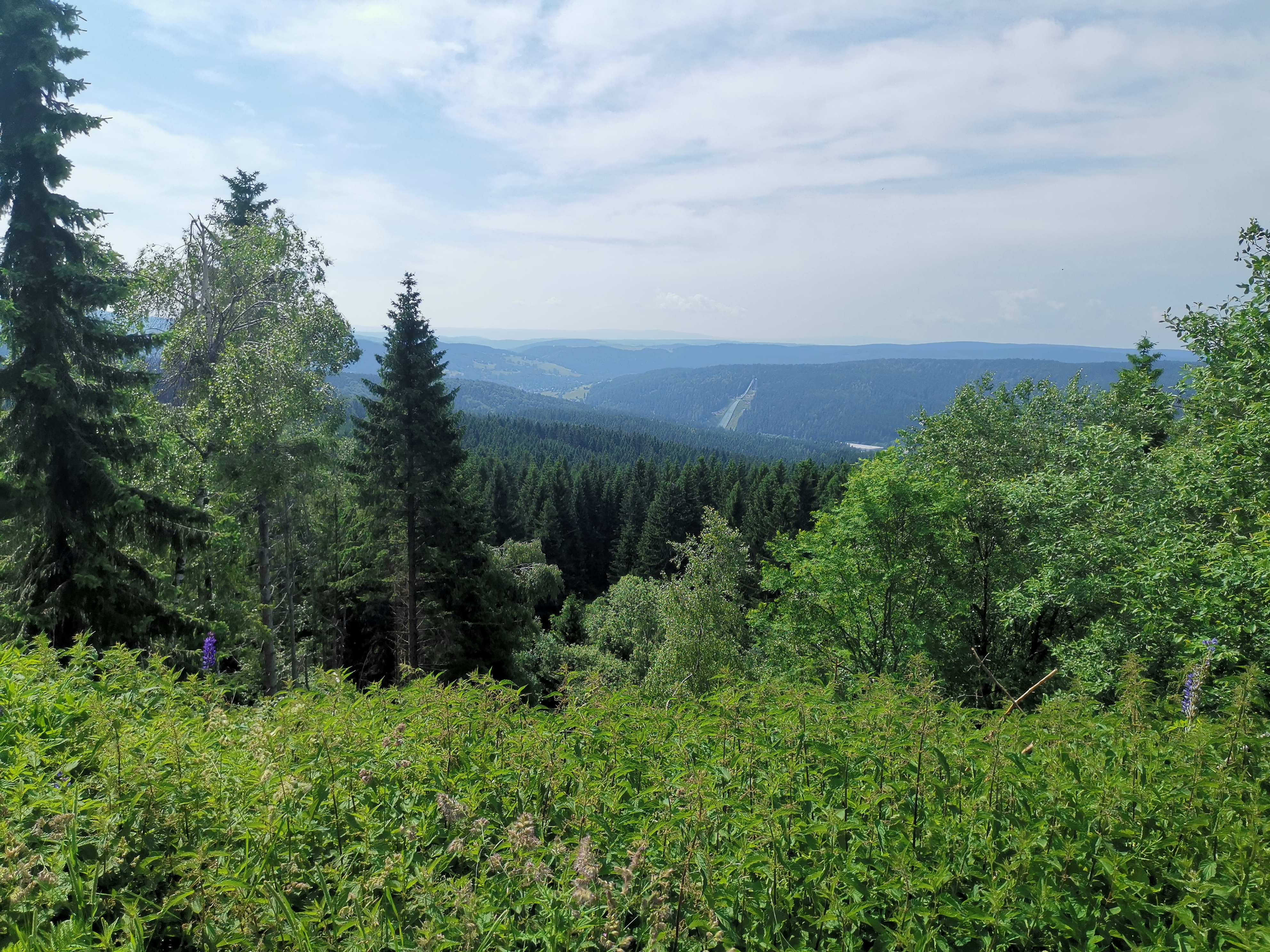 Runde nach Schöneck