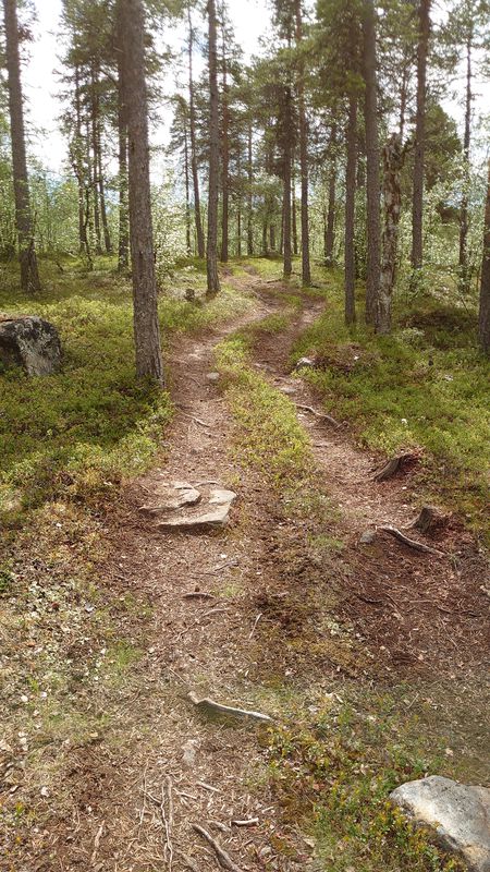 path to Karigasjärvi. Hard. availeble 01.06 - 29.09