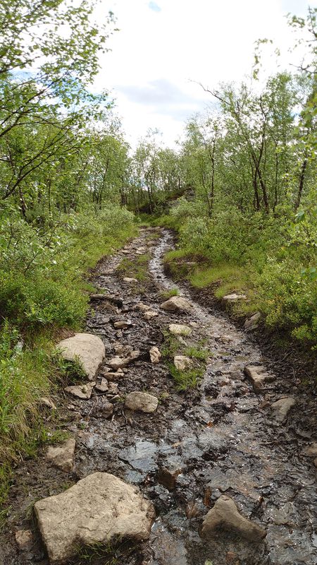 path to Karigasjärvi. Hard. availeble 01.06 - 29.09