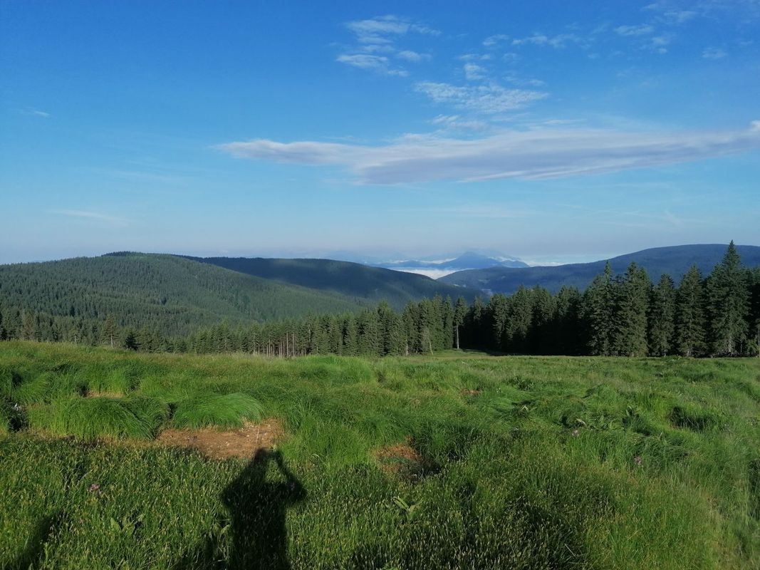 Mislinja-Rogla -Mislinja 27.06.2021