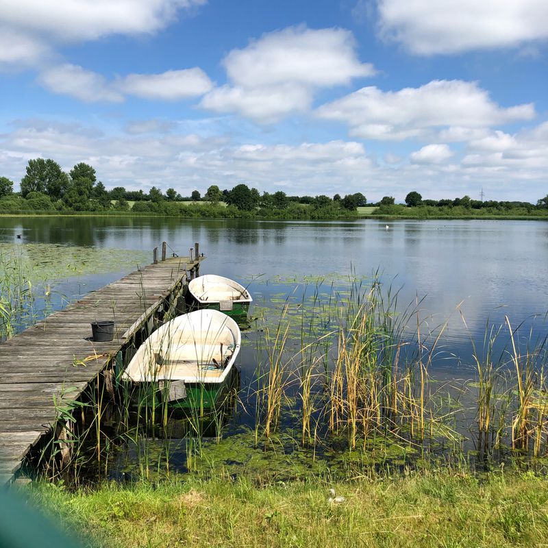Damprunde