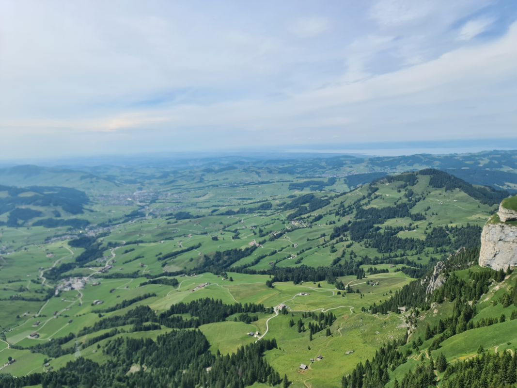 Au 3, Speicherschwendi nach Hoher Kasten, Rüte
