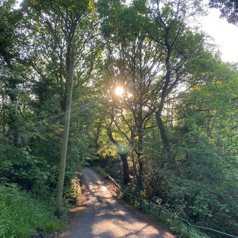 Euxton Lane / Buckshaw Village / Wigan Lane