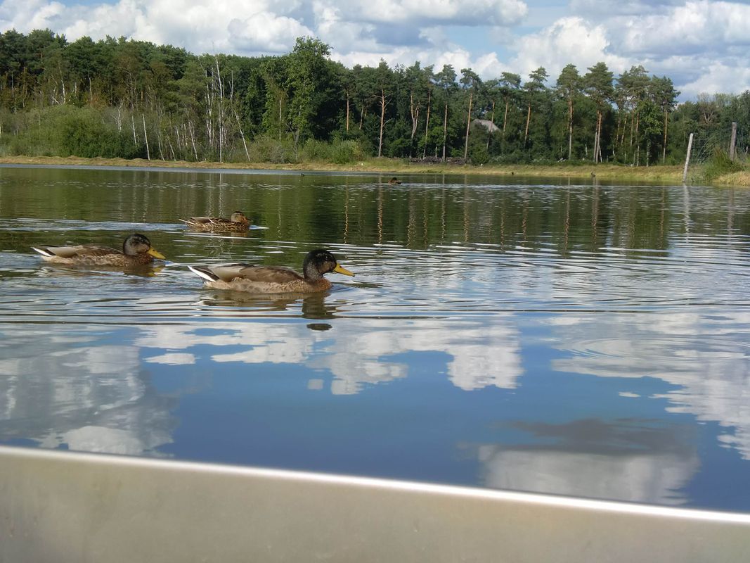 BG14: Mit dem Rad durchs Wasser