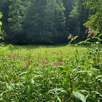 Möhringen - Schaichtal über Holzgerlingen, 7 Mühlen-Tal, 52km 490hm
