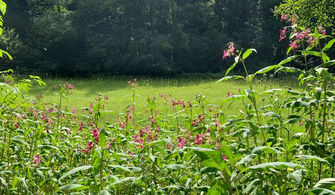 Zdjęcie 1 trasy Bikemap „Möhringen - Schaichtal über Holzgerlingen, 7 Mühlen-Tal, 52km 490hm”