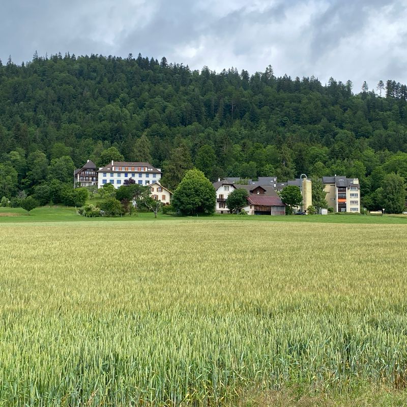 Ferienbiken