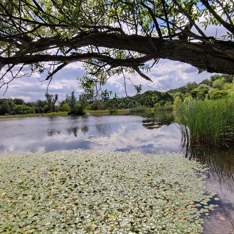 От улица Береговая 4 корпус 6, Москва до проезд Соломенной Сторожки 10, Москва
