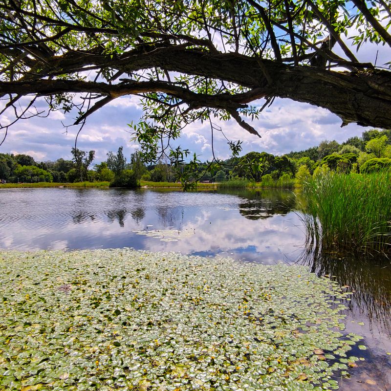 От улица Береговая 4 корпус 6, Москва до проезд Соломенной Сторожки 10, Москва