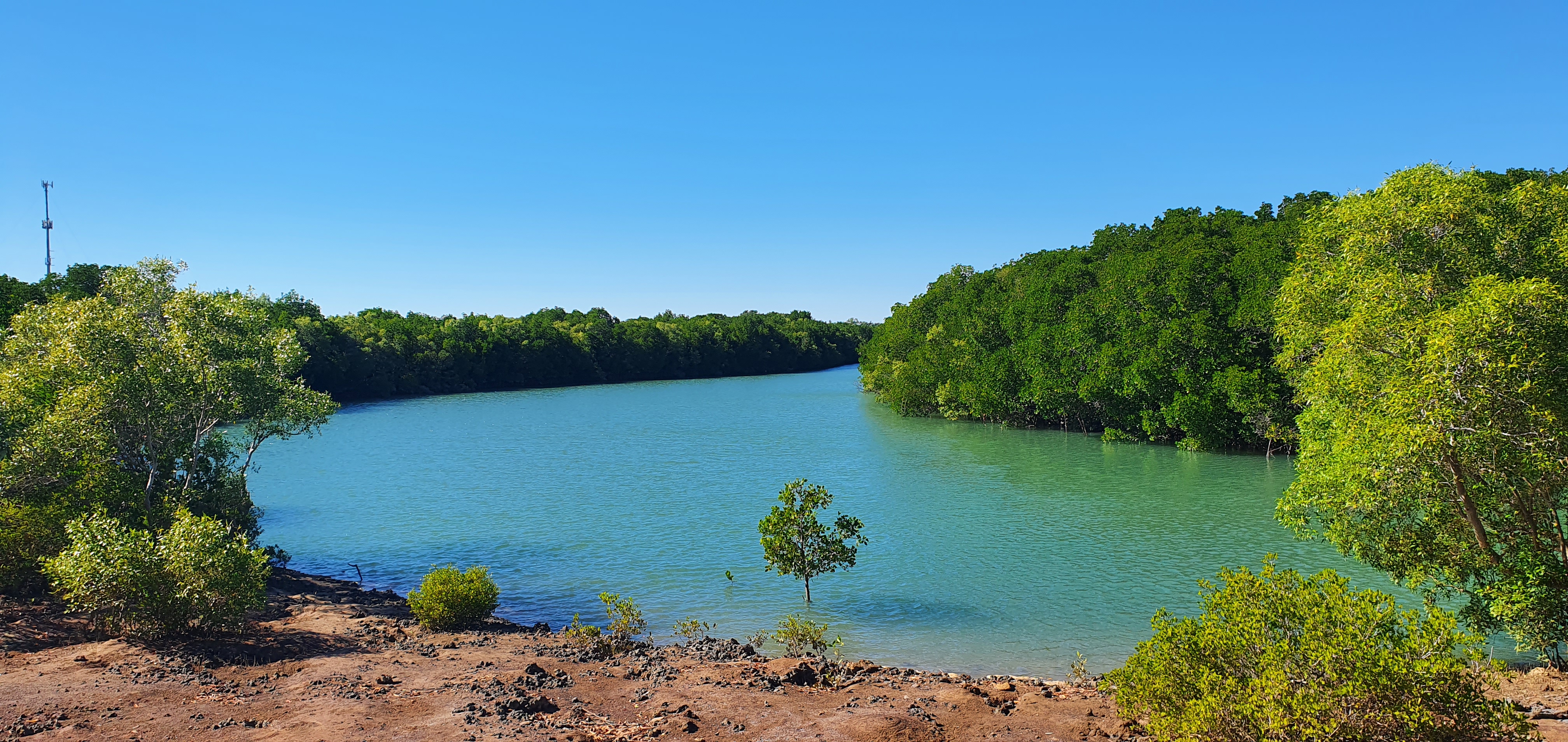 Tiwi - Nightcliff