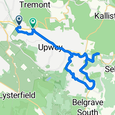 Puffing Billy &amp; Belgrave