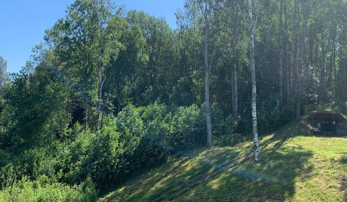 Photo 1 of the Bikemap route "до Приозерска"