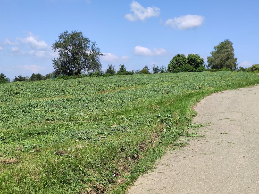 Alte Landstraße 58, Müllheim nach Schloßplatz 2, Badenweiler