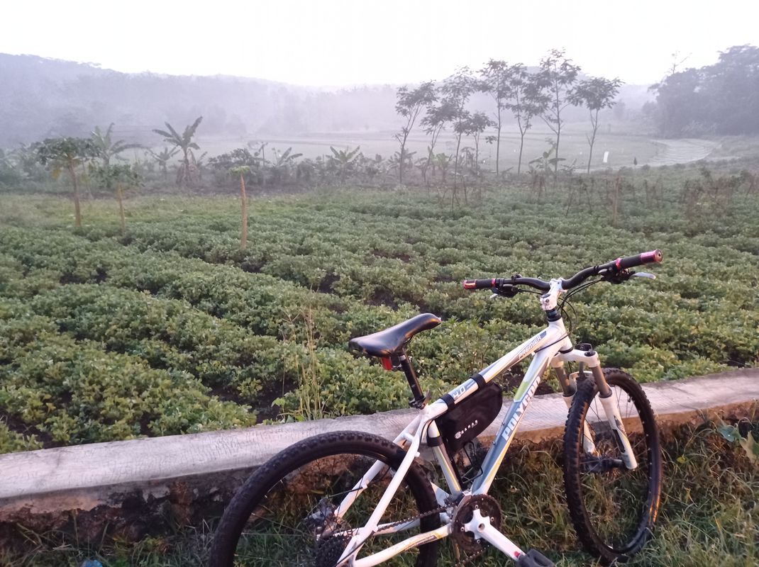 uphill x downhill x flat hill kaliwungu to mangkang to kaliwungu