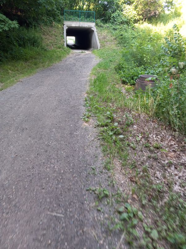 De Crystal Place East 1272, Chaska a Darrick Road 206, Chaska