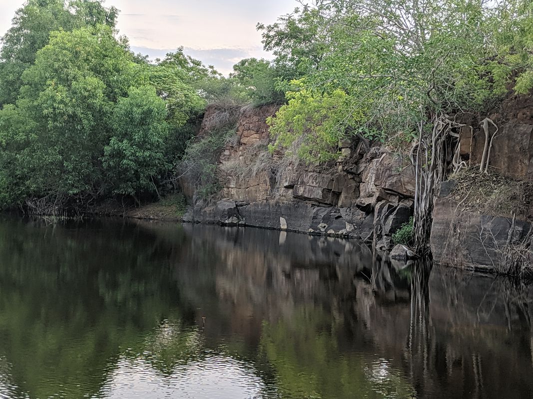 nanmangalam reserve