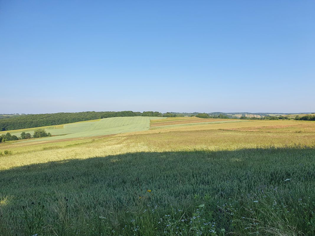 Trzebinia - dolinki krakowskie