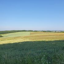 Trzebinia - dolinki krakowskie