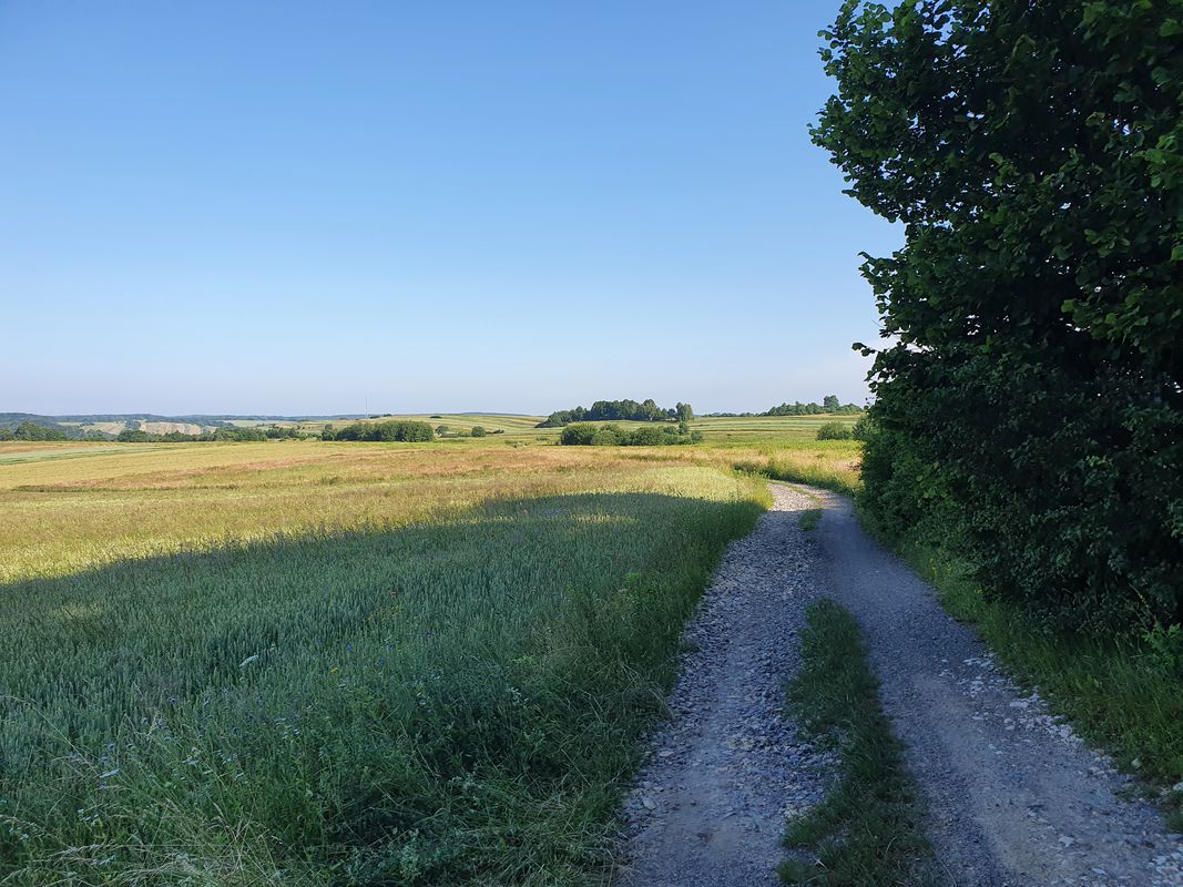 Trzebinia - dolinki krakowskie