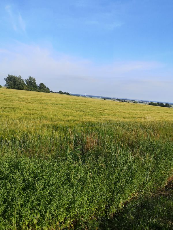 Stenorsvägen 46 to Pilängsrundeln 21B