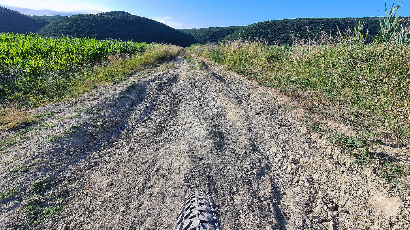 ISTRA MTB Earth, rocks and thorns