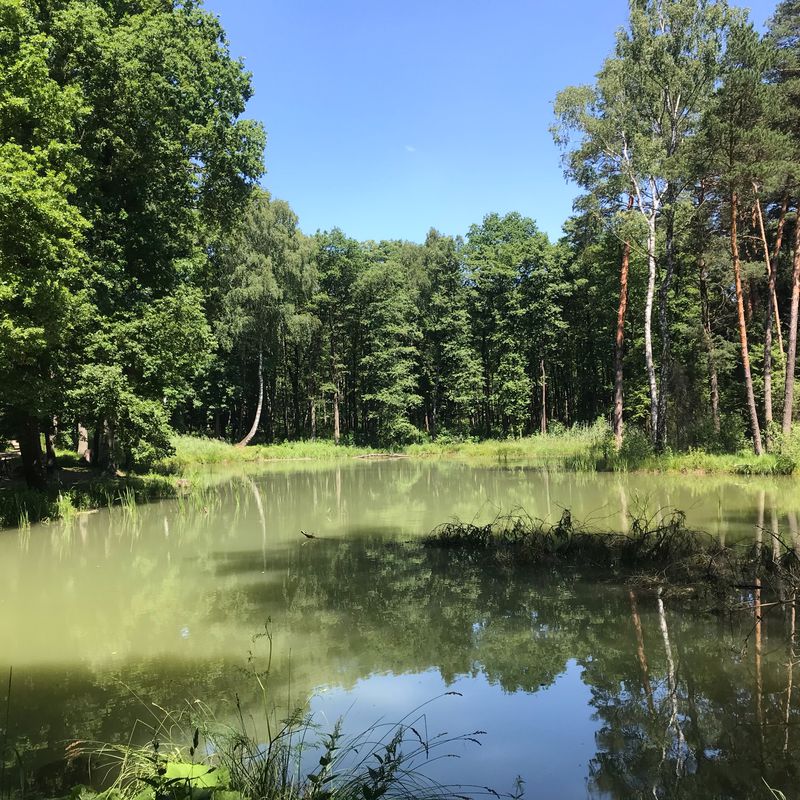 Маршрут в Przewóz 38, Краков