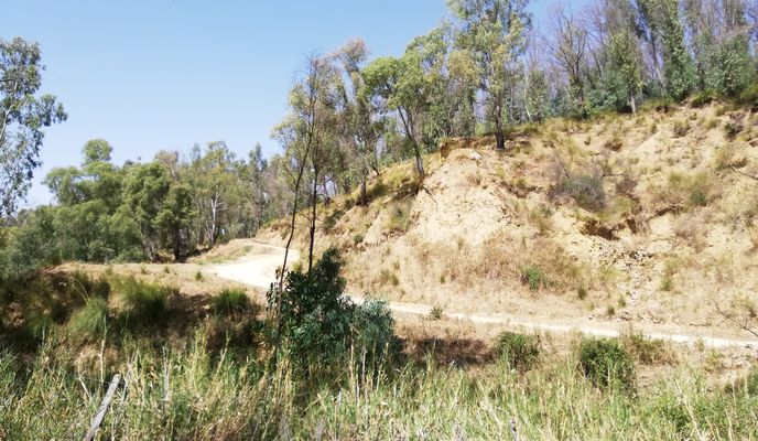 Photo 1 of the Bikemap route "Unnamed Road, Caltagirone naar Unnamed Road, Caltagirone"