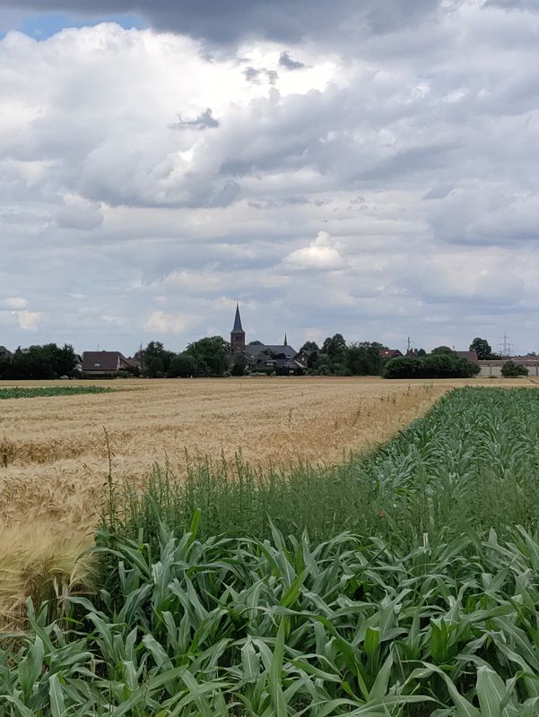 Route von Forsthausstraße 68, Dormagen