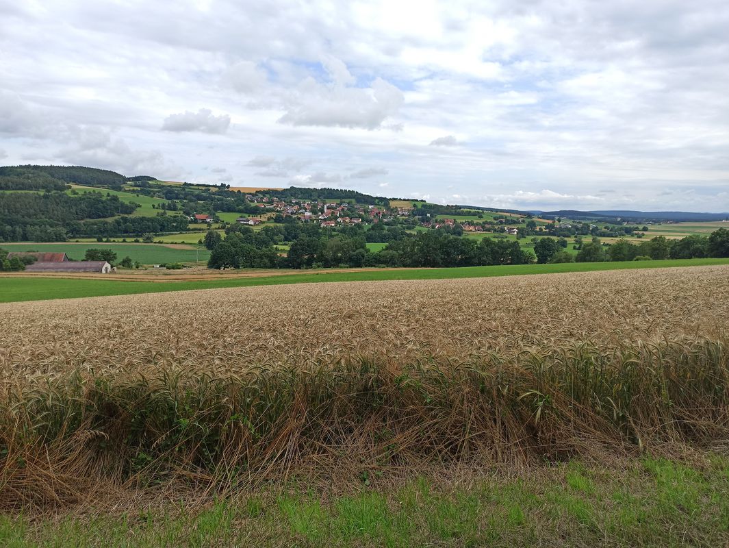 Schwarzach zum Darlesberg, über Diendorf zum Kocherstollen