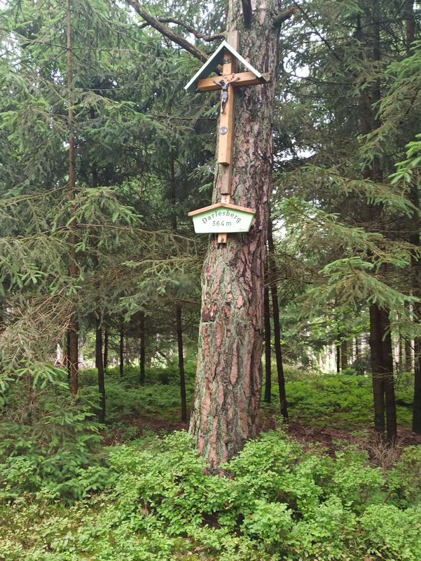 Schwarzach zum Darlesberg, über Diendorf zum Kocherstollen