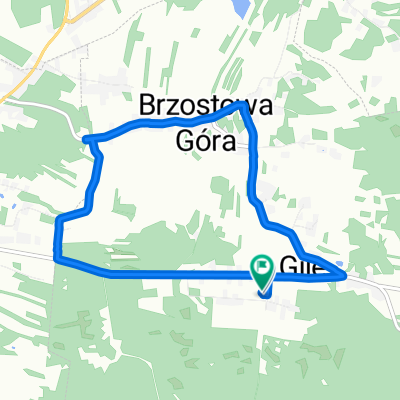 Brzostowa Góra do Brzostowa Góra