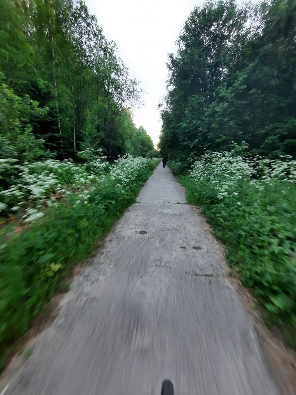 Photo 2: Татьяна Федорова