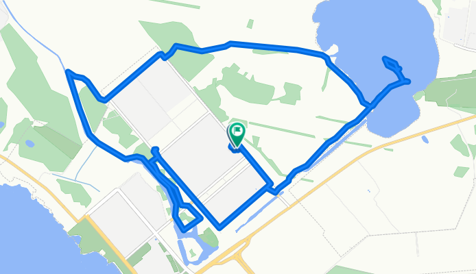 Recorded via Apple Watch - 08.07.2021, 06:53
