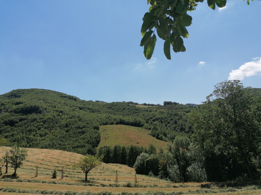 Da Via San Francesco D'Assisi 79, San Savino a Via San Francesco D'Assisi 77, San Savino