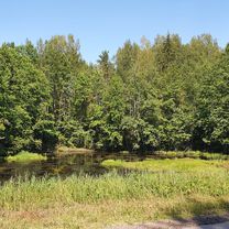 Zdjęcie 7 trasy Bikemap „От улица Якутских Стрелков 59, Старая Русса до улица Якутских Стрелков 59, Старая Русса”