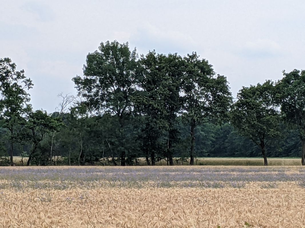 Ladbergen, Waldseestr. nach Ladbergen, Waldseestr.