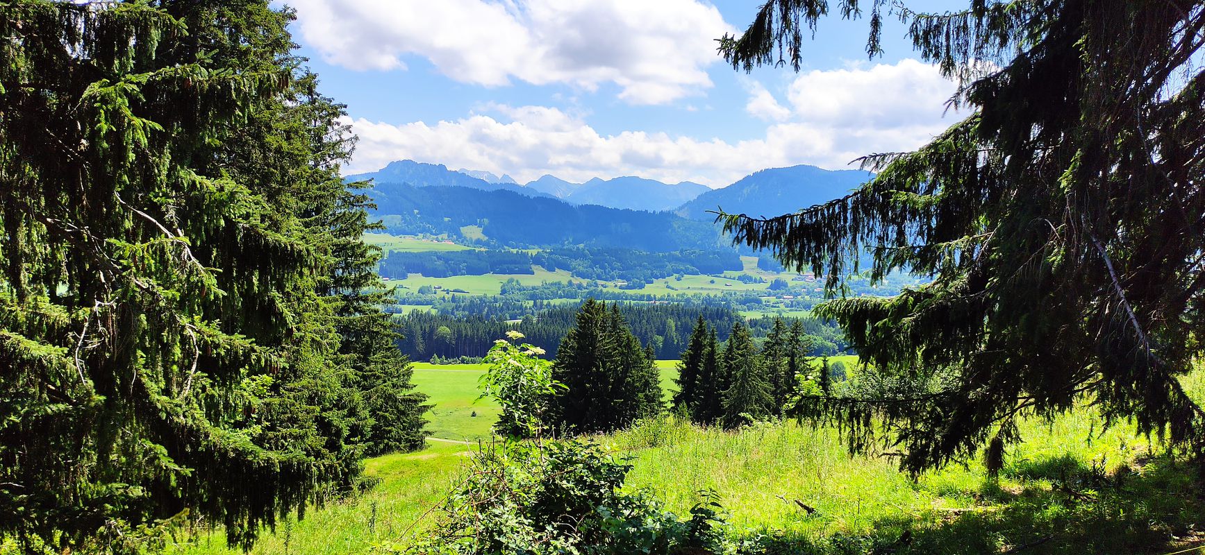 Nesselwang - Faistenoy - Oberelleg - Petersthal und zurück