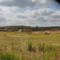Naturschutzgebiet Beachtet Wald
