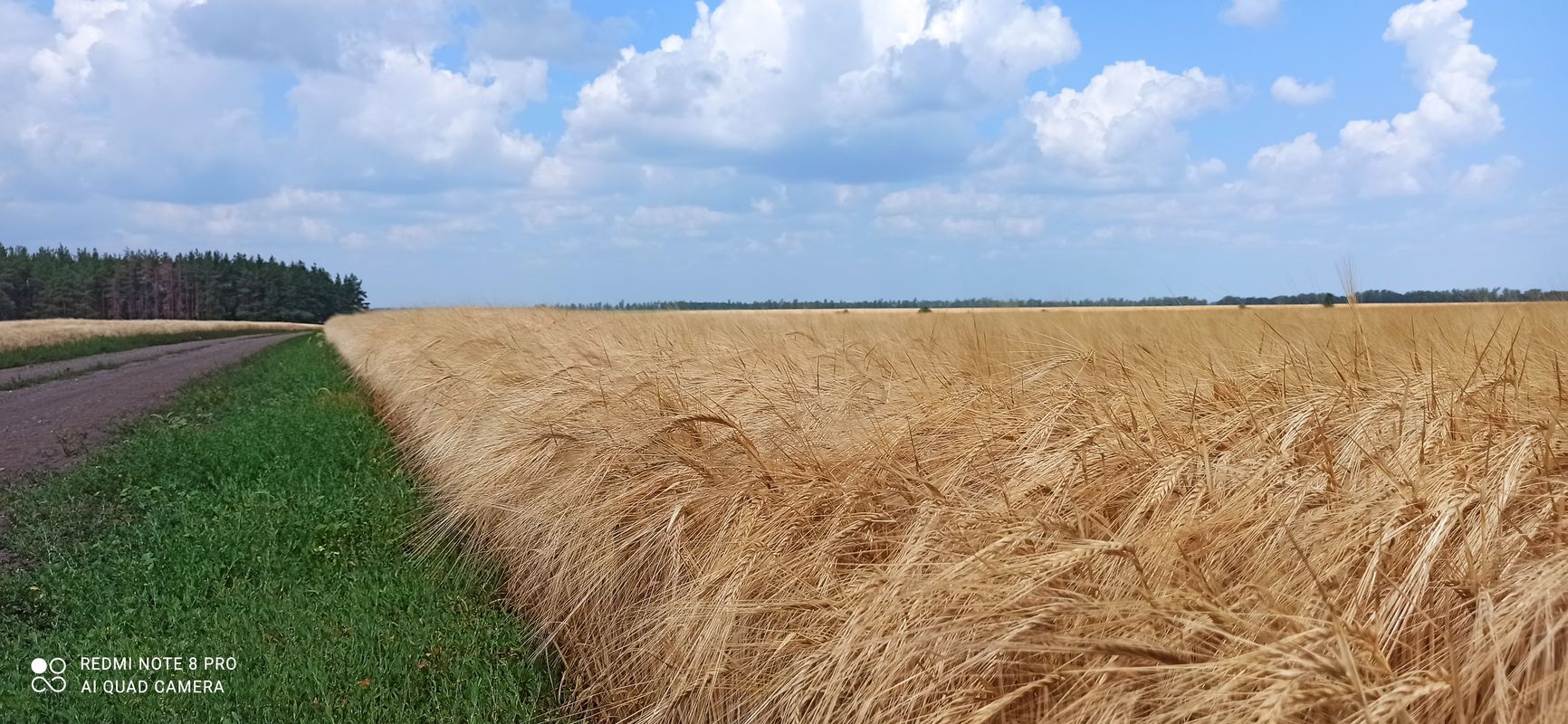 От улица Меркулова 3, Липецк до улица Свиридова 13, Липецк